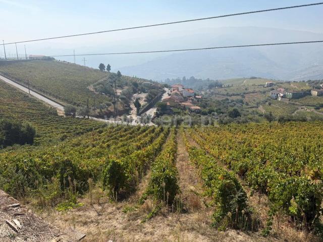 Quinta venda em Nogueira, Peso da Régua