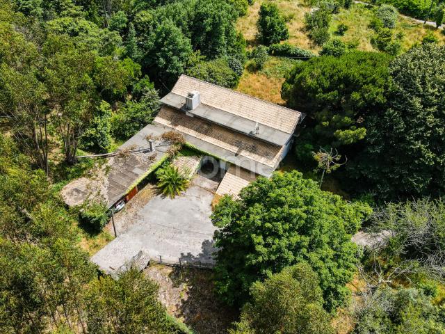 Quinta venda em Figueiró Dos Vinhos, Leiria