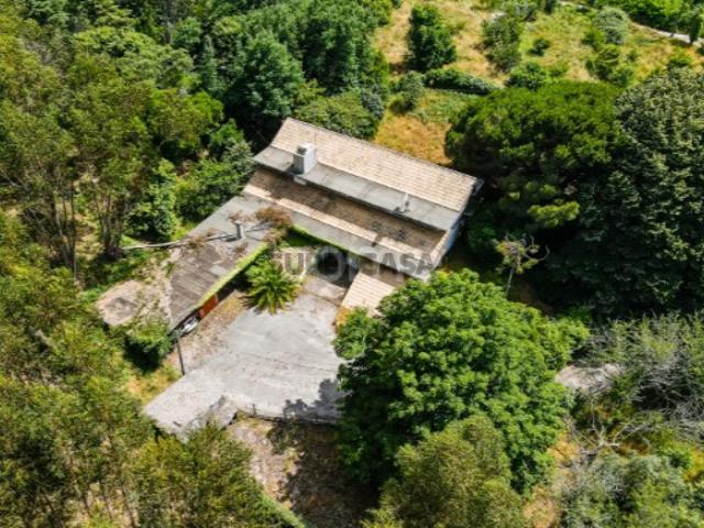 Casa venda em Casal de Santarém, Figueiró Dos Vinhos