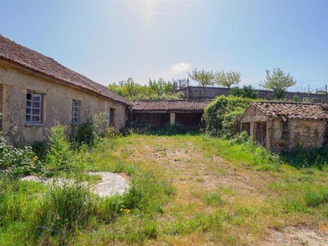 Quinta venda em Castelo Branco