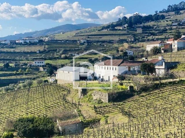 Quinta venda em Brunhedo, Peso Da Régua