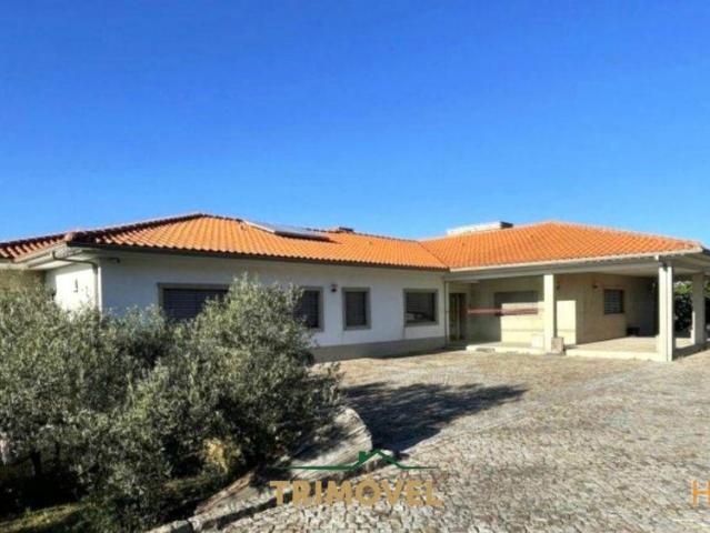 Quinta venda em Lamego, Viseu