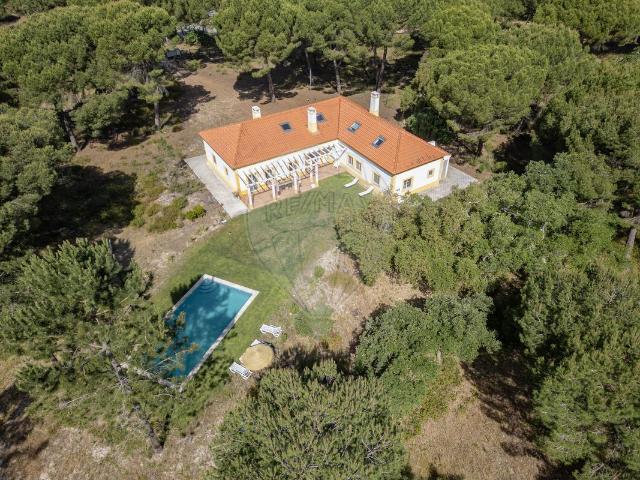 Quinta venda em Montevil, Alcácer Do Sal