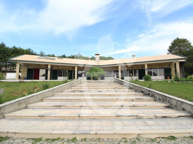 Quinta venda em Coimbrã, Cernache