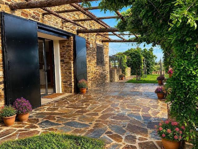 Quinta venda em Pedrógão de São Pedro e Bemposta, Penamacor