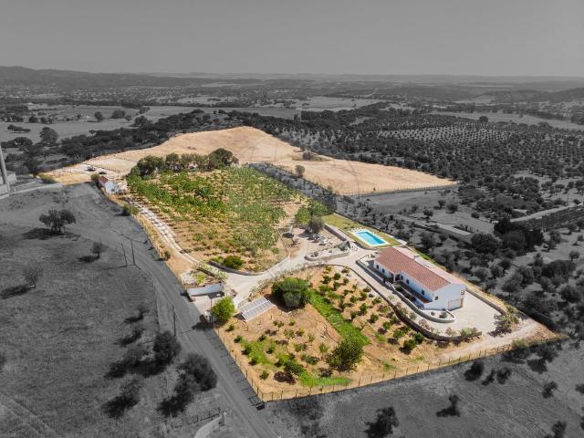 Quinta venda em Évora, Courelas do Monte Branco