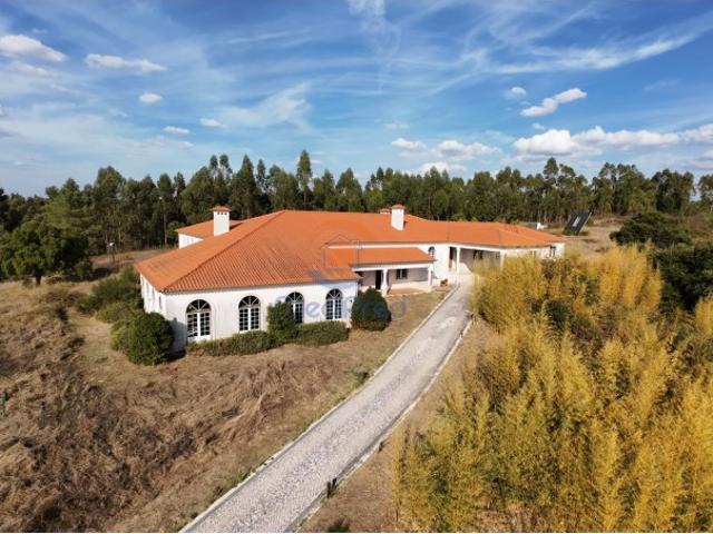 Quinta venda em Beberriqueira, Tomar