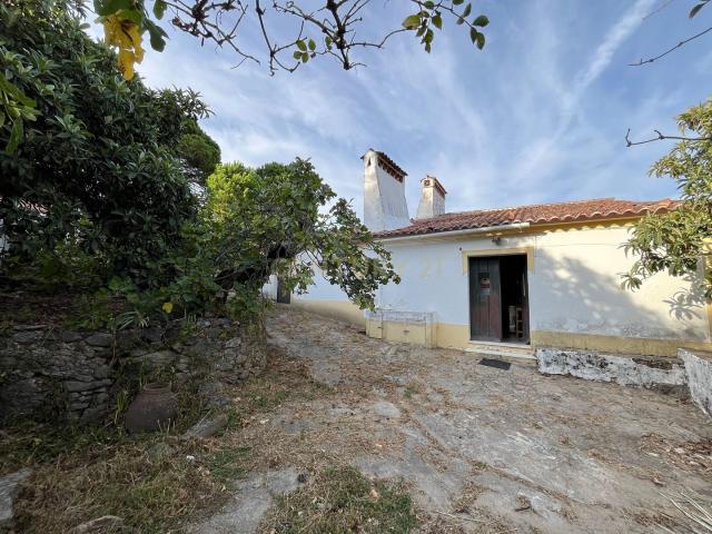 Quinta venda em Portalegre