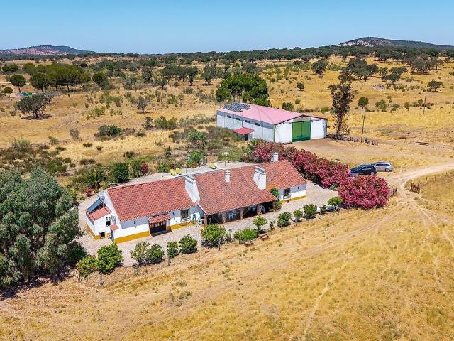 Quinta venda em São Gregório e Santa Justa, Arraiolos