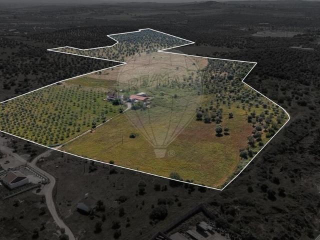 Quinta venda em Évora, Quinta das Quintinhas
