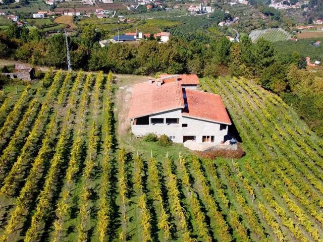 Quinta venda em Aveiro, Cepa