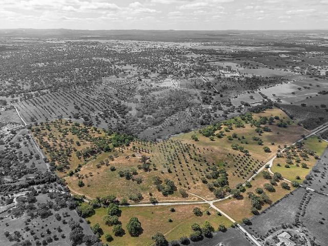 Quinta venda em Courelas da Caneira, Montemor-o-Novo