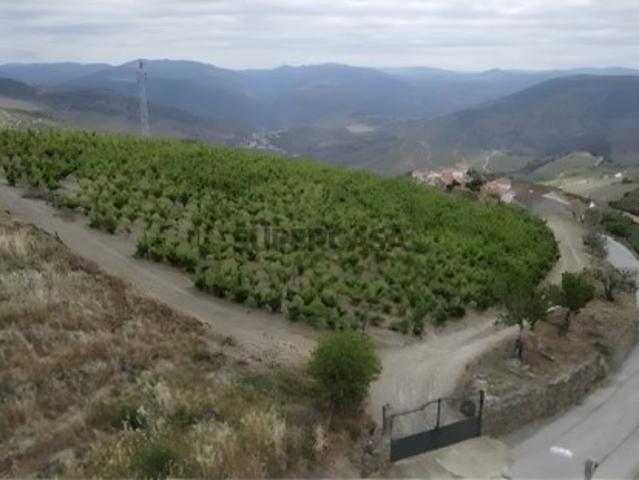 Casa venda em Nagoselo Do Douro, Viseu