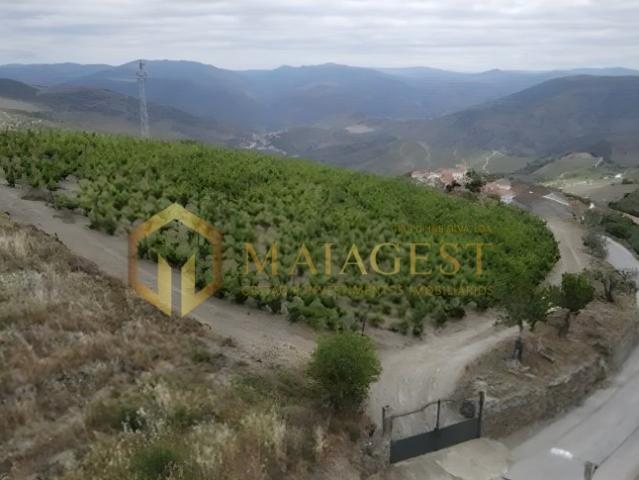 Quinta venda em Nagoselo Do Douro, Viseu