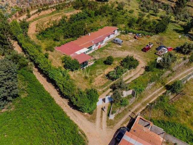 Quinta venda em Castelo Branco