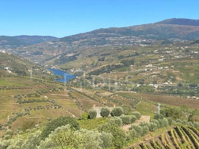 Quinta venda em Quintião, Lamego