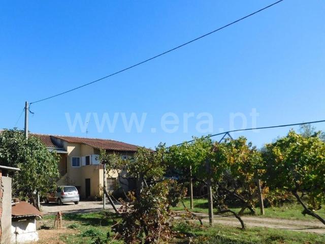 Quinta venda em Castelo Branco, Aldeia Nova Do Cabo