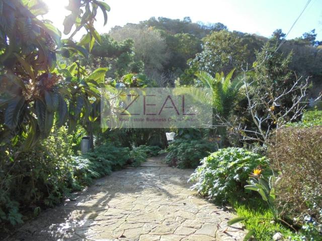 Quinta venda em Colares, São Sebastião