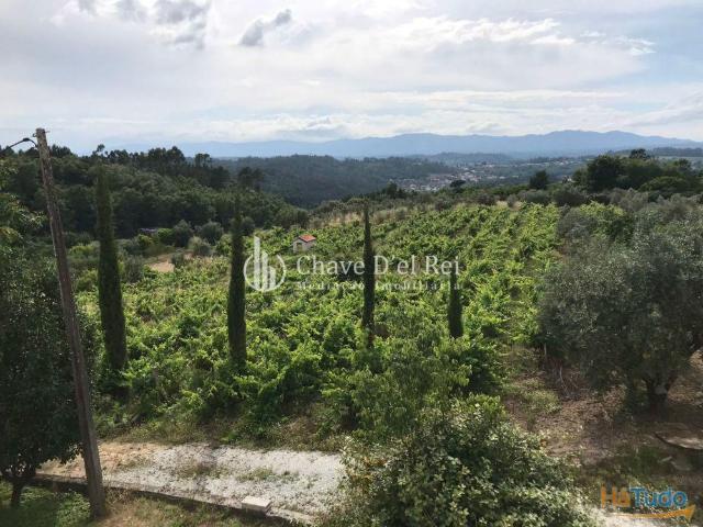 Quinta venda em Viseu