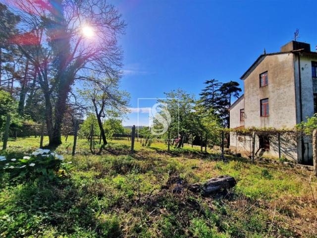 Quinta venda em Vila Do Conde, Porto