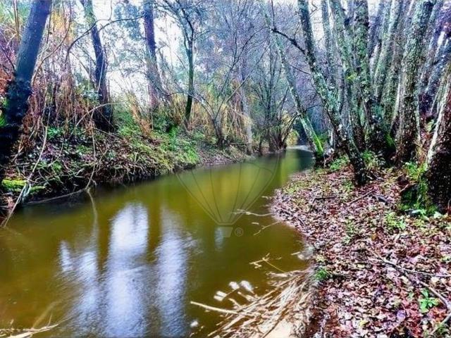 Quinta venda em Santarém, Arrifana