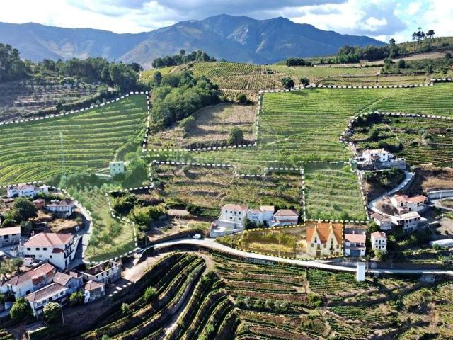 Quinta venda em Santa Marta De Penaguião, Vila Real