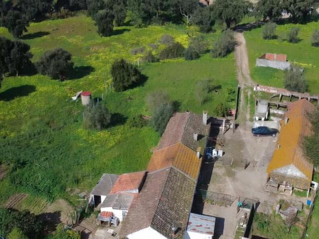 Quinta venda em Palmela, Setúbal