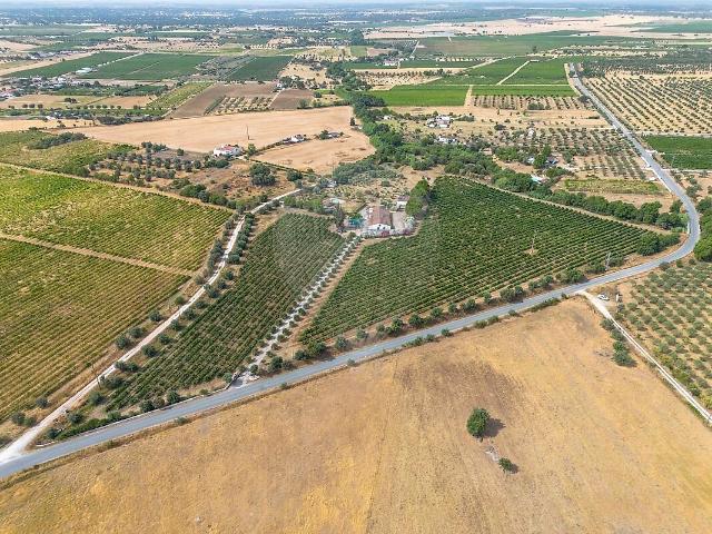 Quinta venda em Redondo