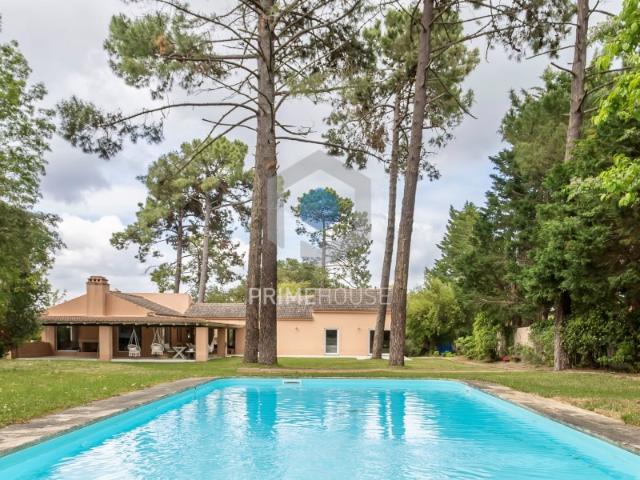 Quinta venda em Azeitão (São Lourenço e São Simão), Setúbal