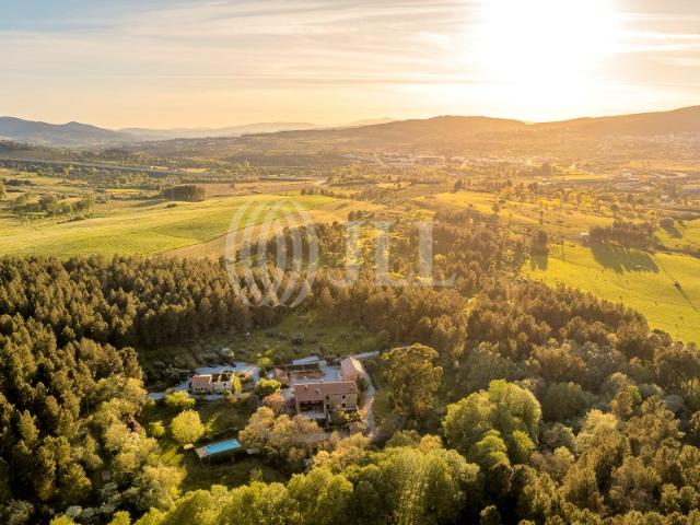 Quinta venda em Castelo Branco, Ferro