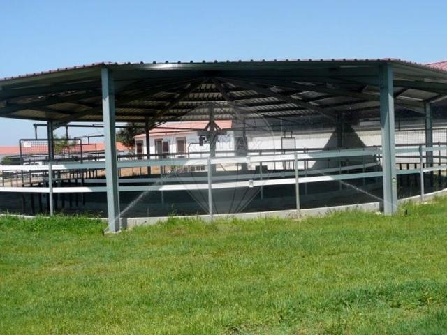 Quinta venda em São Teotónio, Odemira
