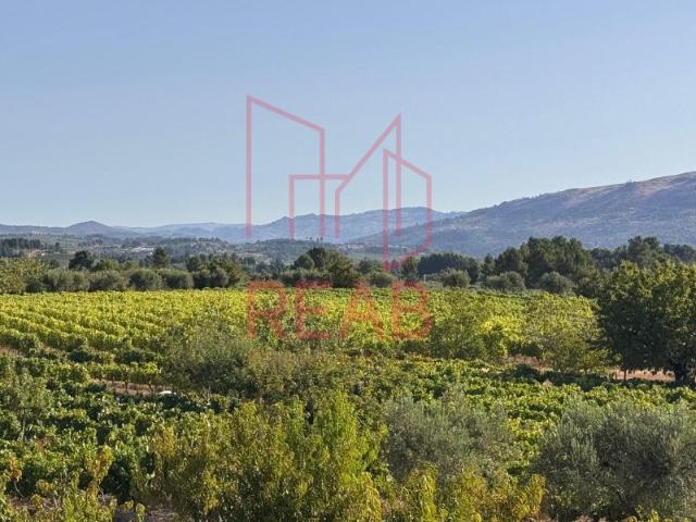 Quinta venda em Viseu