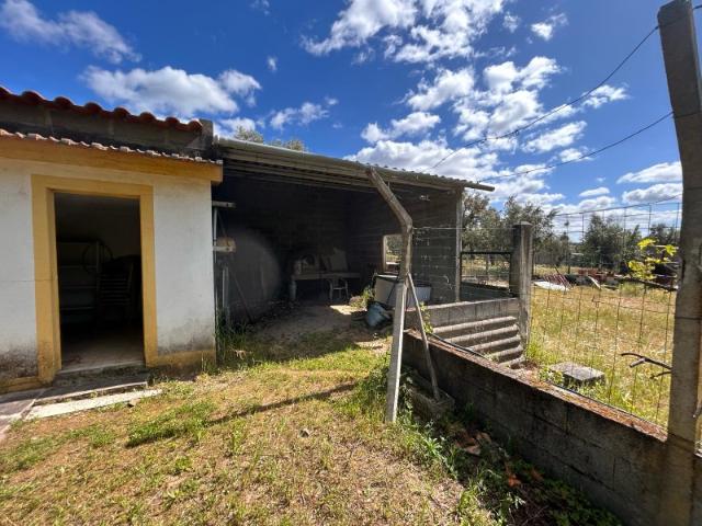 Quinta venda em Abrantes, Santarém