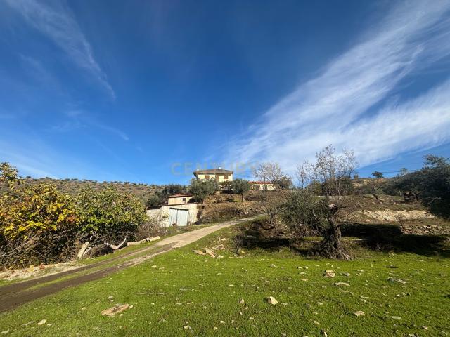 Quinta venda em Torre De Moncorvo, Bragança