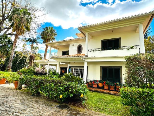 Casa venda em São Roque, Funchal