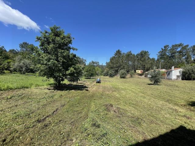 Quinta venda em Poiares (Santo André), Vila Nova De Poiares