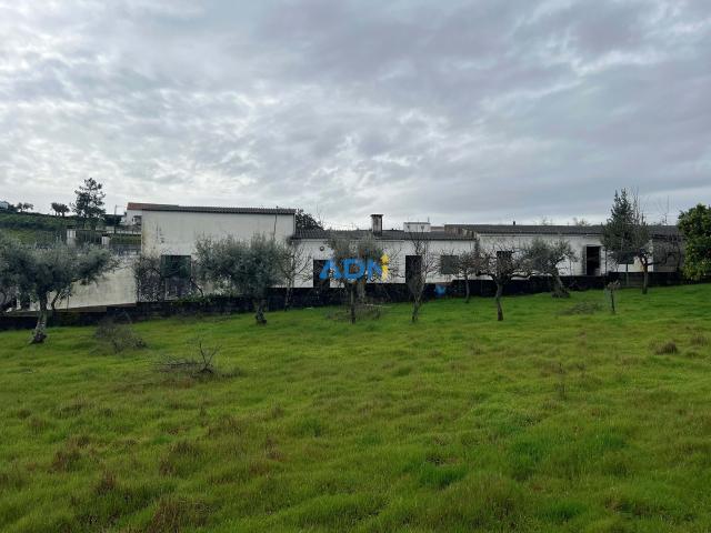 Quinta venda em Castelo Branco