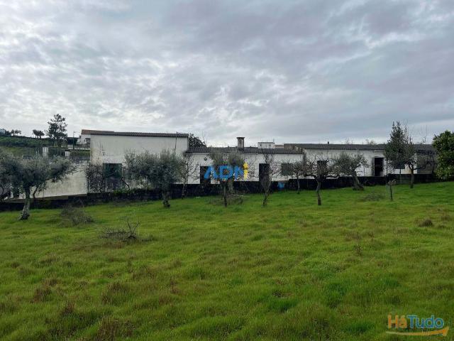 Quinta venda em Castelo Branco