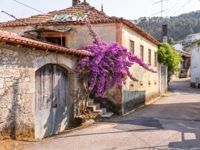 Casa venda em Penacova, Coimbra