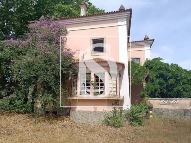 Quinta venda em Abrantes, Santarém