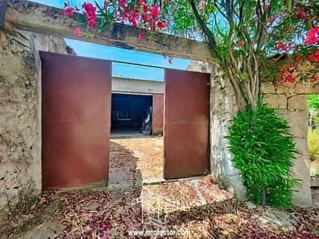 Quinta venda em Castelo Branco