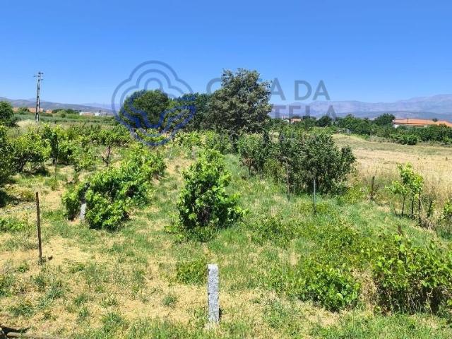 Terreno venda em Castelo Branco, Aldeia Nova Do Cabo