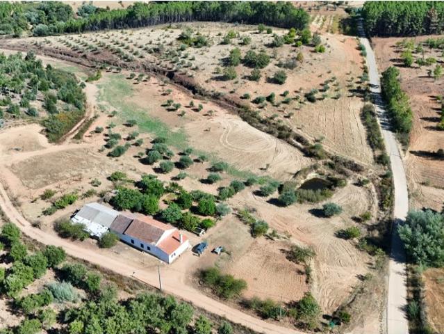 Quinta venda em Castelo Branco, Aldeia Nova Do Cabo