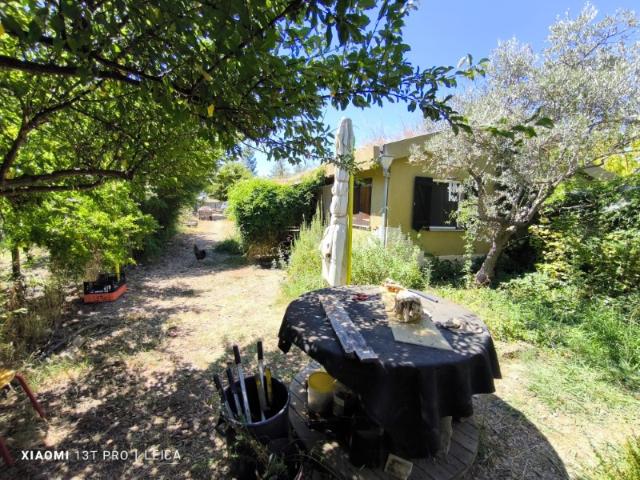 Quinta venda em Castelo Branco, Idanha-a-nova