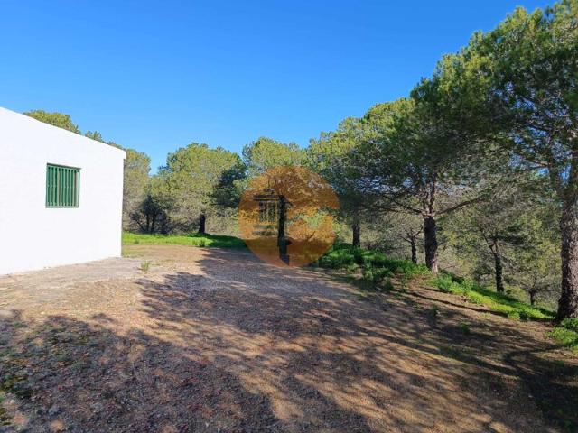 Quinta venda em Castro Marim, Faro