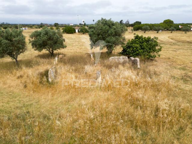 Quinta venda em Odemira, Beja