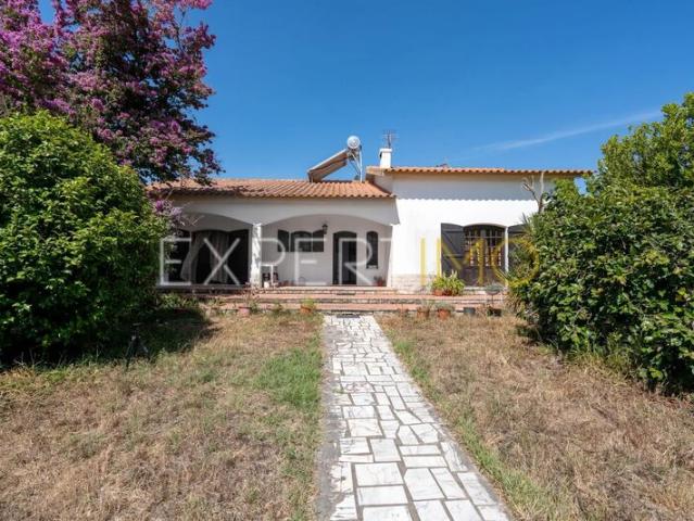 Quinta venda em Palmela, Setúbal