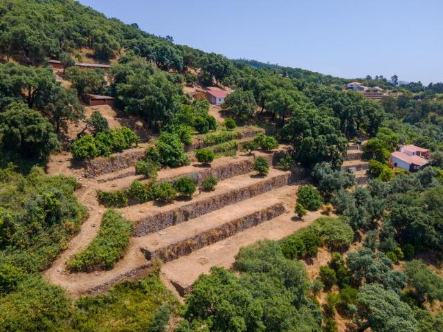 Quinta venda em Monchique