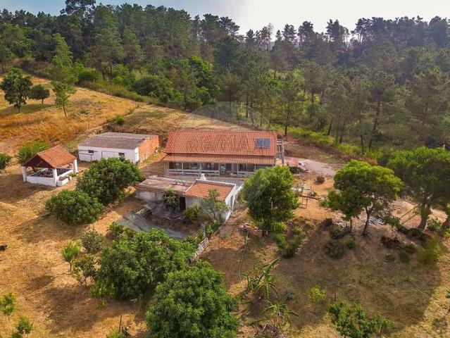 Quinta venda em Azambuja