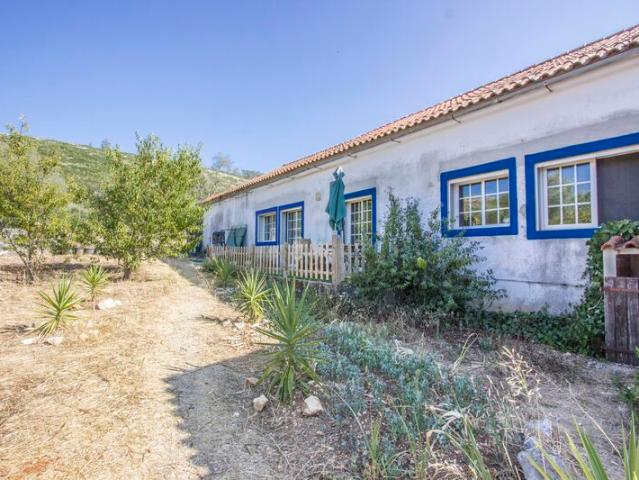 Quinta venda em Porto De Mós, Leiria